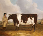 Richard Whitford art print