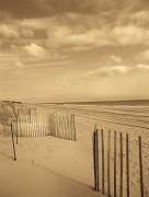 Recent Developments, LLC art print