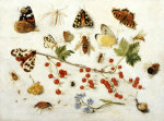 Jan van Kessel art print
