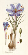 Andreas Friedrich Happe art print