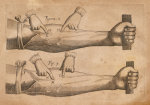 Christie's Images art print