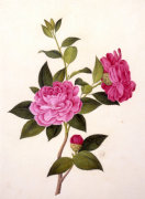 Christie's Images art print