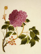 Christie's Images art print