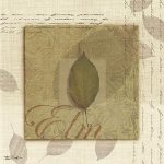 Tandi Venter art print