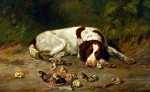 Arthur Fitzwilliam Tait art print