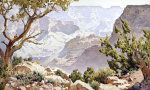 Gunnar Widforss art print