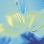Jane Ann Butler art print