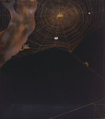 Christie's Images art print
