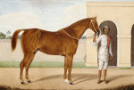 Shaikh Muhammad Amir Of Karraya art print