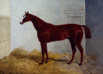 John Frederick Herring art print