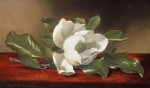 Martin Johnson Heade art print