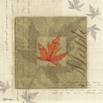 Tandi Venter art print