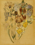 Charles Rennie Mackintosh art print