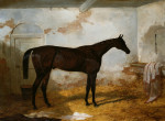 Harry Hall art print