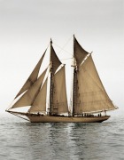 Frederick J. LeBlanc art print