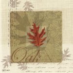 Tandi Venter art print