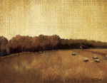 Tandi Venter art print