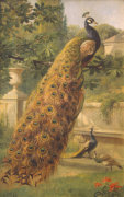 Olaf August Hermansen art print
