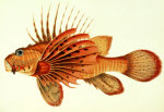 John Whitchurch Bennett art print