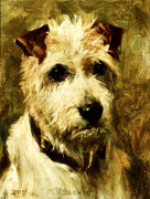 John Emms art print