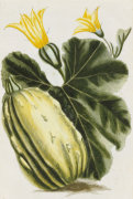 Christie's Images art print
