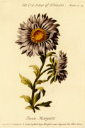 Thomas Parkinson art print