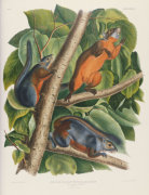 Christie's Images art print