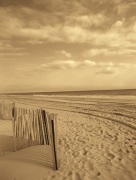 Recent Developments, LLC art print