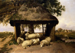 Thomas Sidney Cooper art print