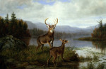 Arthur Fitzwilliam Tait art print