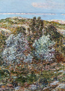 Camillo Innocenti art print