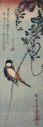 Swallow Perched On A Tendril Of Wisteria giclee art print