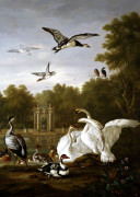Peter Casteels III art print