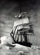 Christie's Images art print