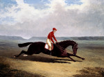 John Frederick Herring art print