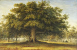 John Glover art print