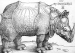 Albrecht Durer art print