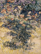 Vincent Van Gogh art print