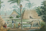 Louis De Freycinet art print