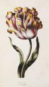 Thomas Parkinson art print