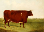 G. Sinclair art print