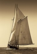 Frederick J. LeBlanc art print