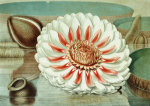 William Sharp art print