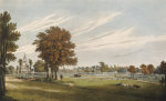 J. Powell art print