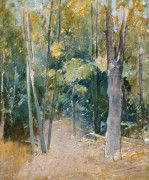Soren Emile Carlsen art print