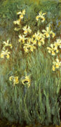 Claude Monet art print