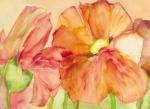 Katharina Reichert art print