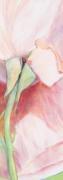 Katharina Reichert art print
