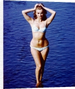 Celebrity Image art print - Barbara Bouchet poster