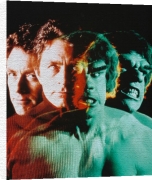Celebrity Image art print - Bill Bixby poster